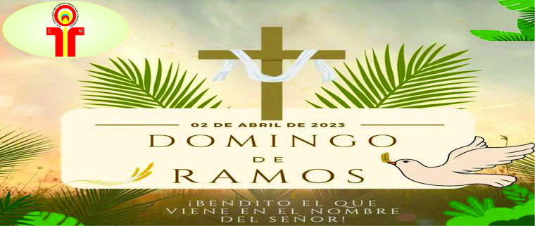 Lee más sobre el artículo Domingo De Ramos