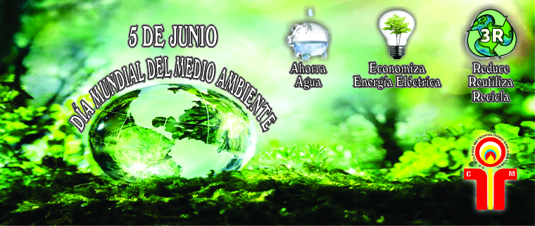 Lee más sobre el artículo Día Mundial Del Medio Ambiente