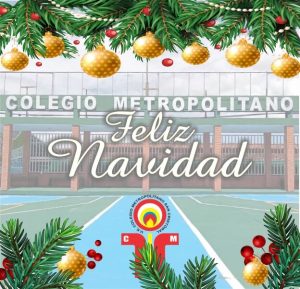 Lee más sobre el artículo Navidad 2024