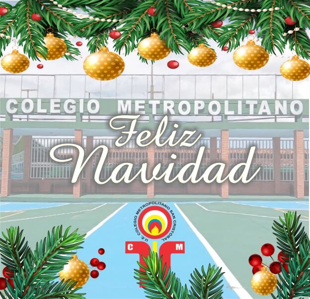 Lee más sobre el artículo Navidad 2024